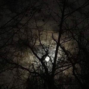 Meet your Posher, Krixten